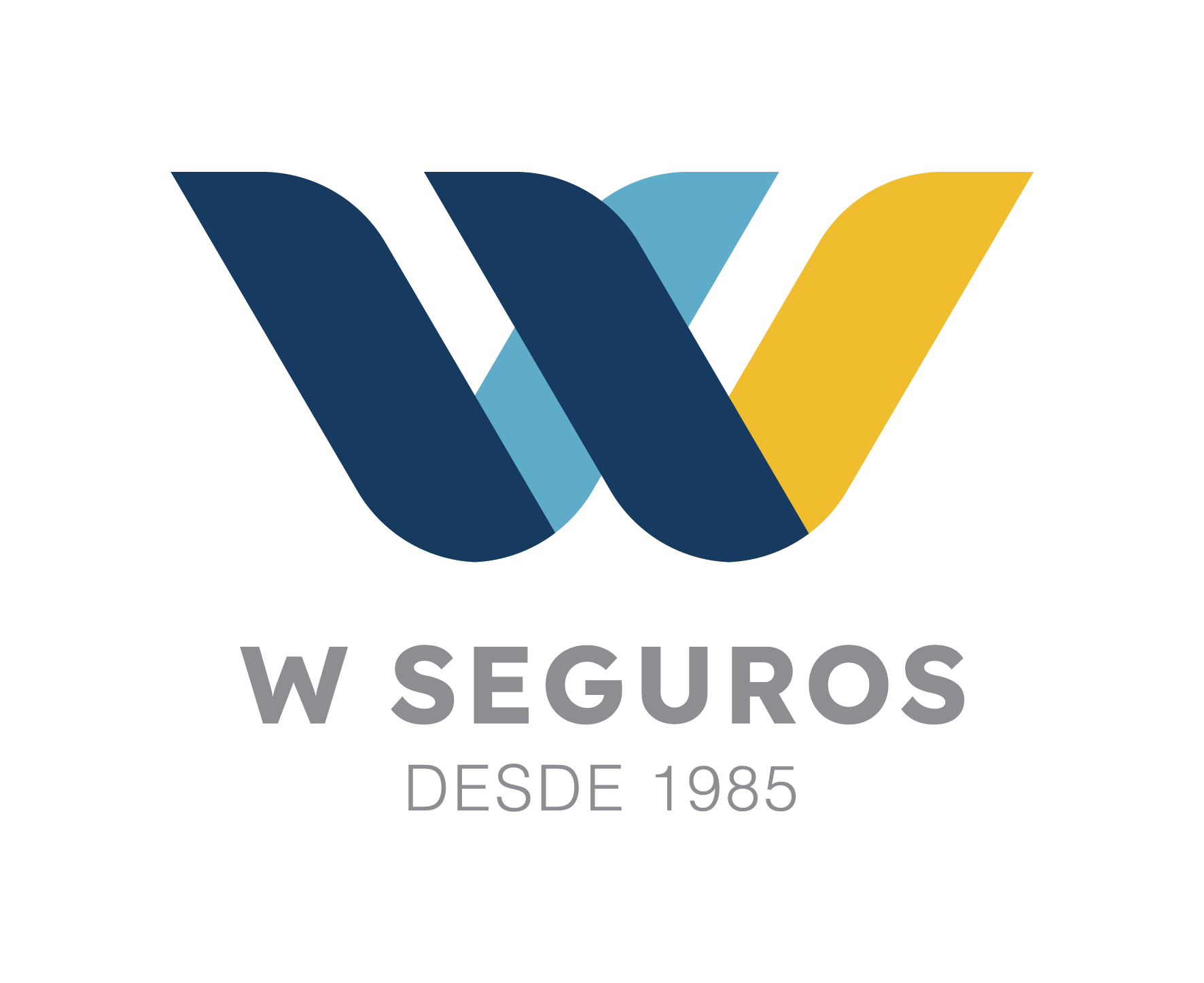 W Seguros